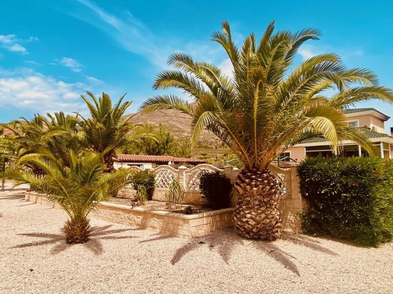 Villa for Sale in Macisvenda, Murcia 16