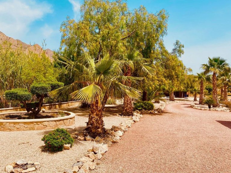 Villa for Sale in Macisvenda, Murcia 19