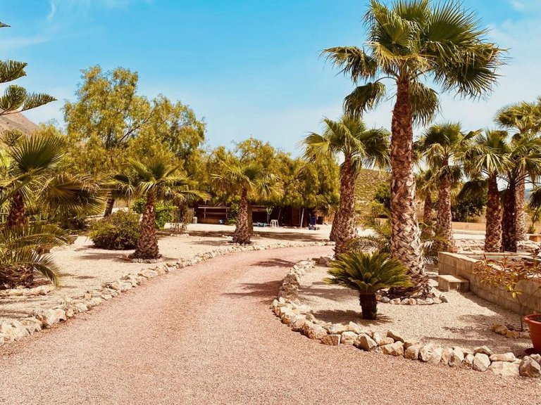 Villa for Sale in Macisvenda, Murcia 21