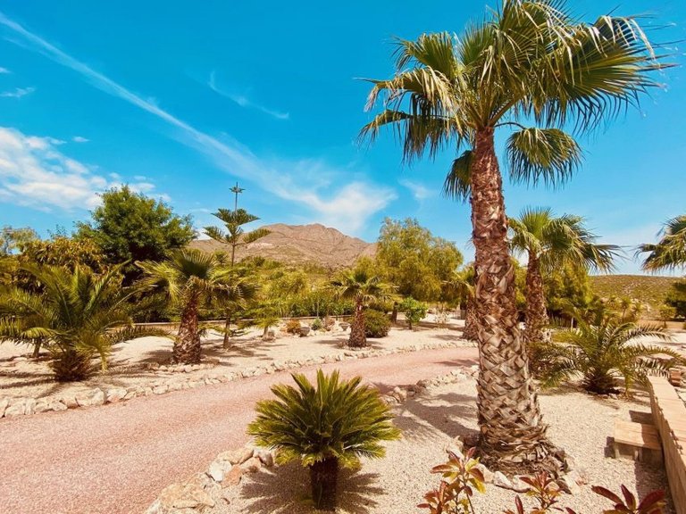 Villa for Sale in Macisvenda, Murcia 29