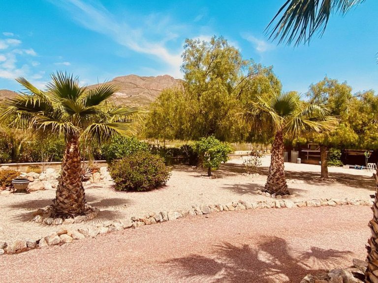 Villa for Sale in Macisvenda, Murcia 28