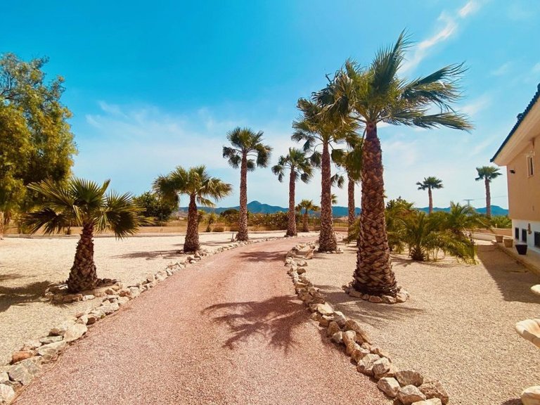 Villa for Sale in Macisvenda, Murcia 31