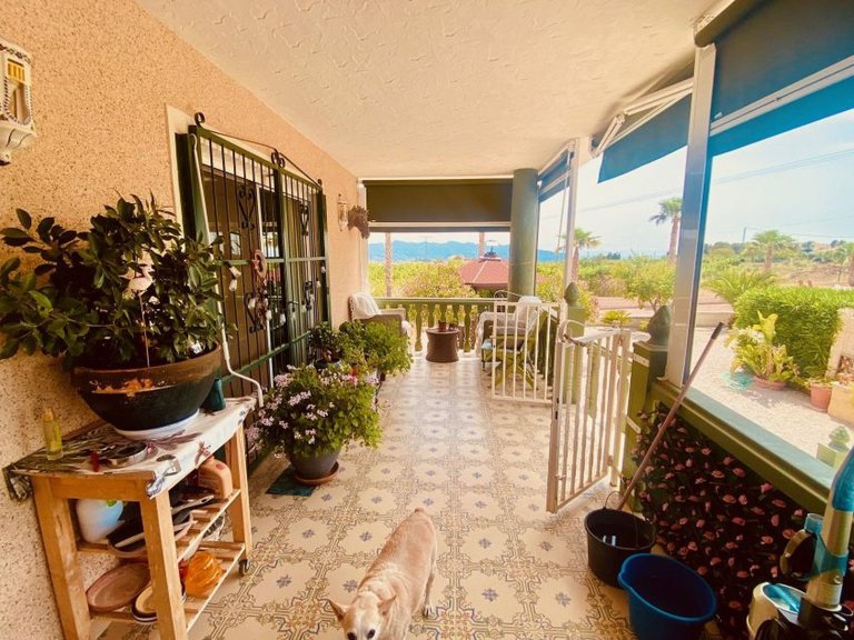Villa for Sale in Macisvenda, Murcia 38