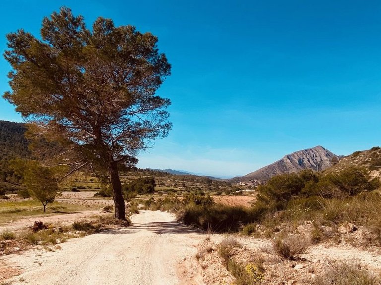Villa for Sale in Hondón De Las Nieves, Alicante 10