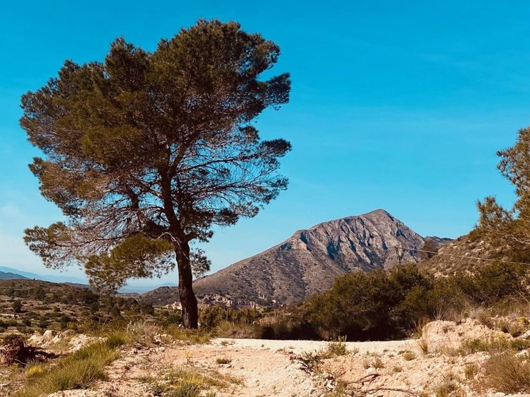 Villa for Sale in Hondón De Las Nieves, Alicante 11