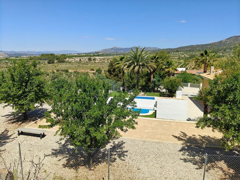 Villa for Sale in Petrer, Alicante 50
