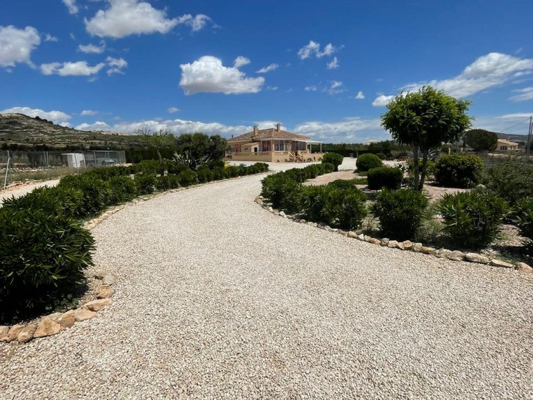 Villa for Sale in Pinoso, Alicante 2