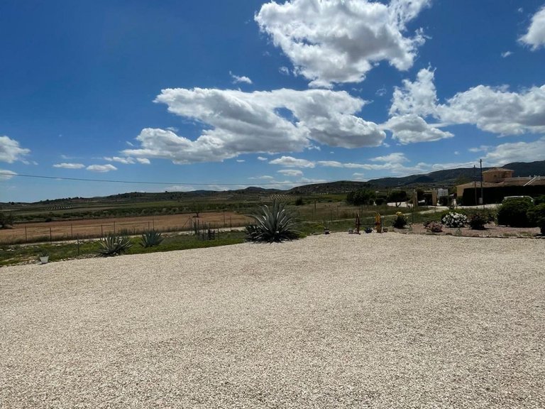 Villa for Sale in Pinoso, Alicante 34
