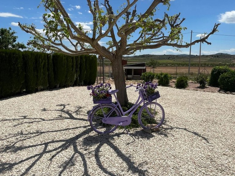 Villa for Sale in Pinoso, Alicante 37