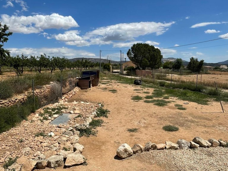 Villa for Sale in Pinoso, Alicante 38