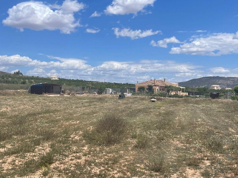 Villa for Sale in Pinoso, Alicante 44