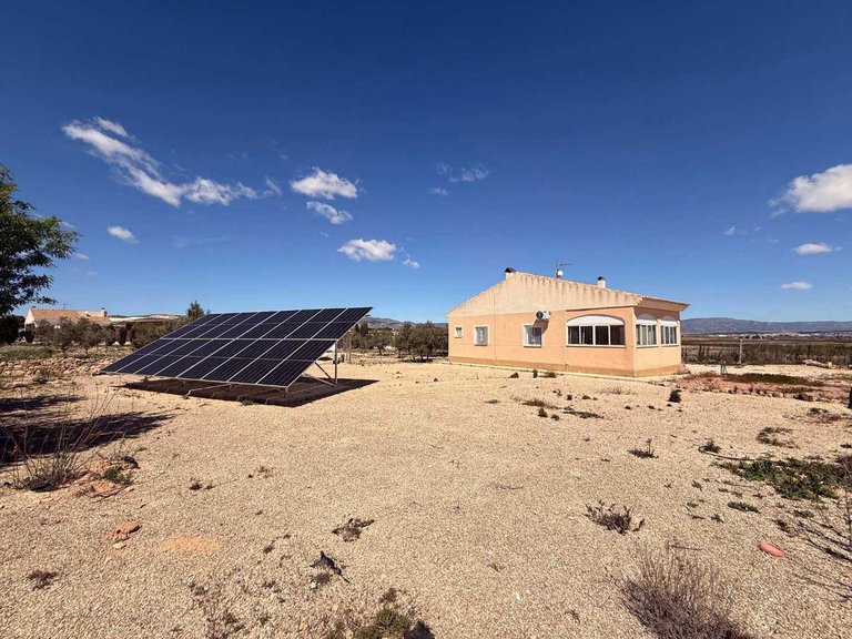 Villa for Sale in Pinoso, Alicante 5