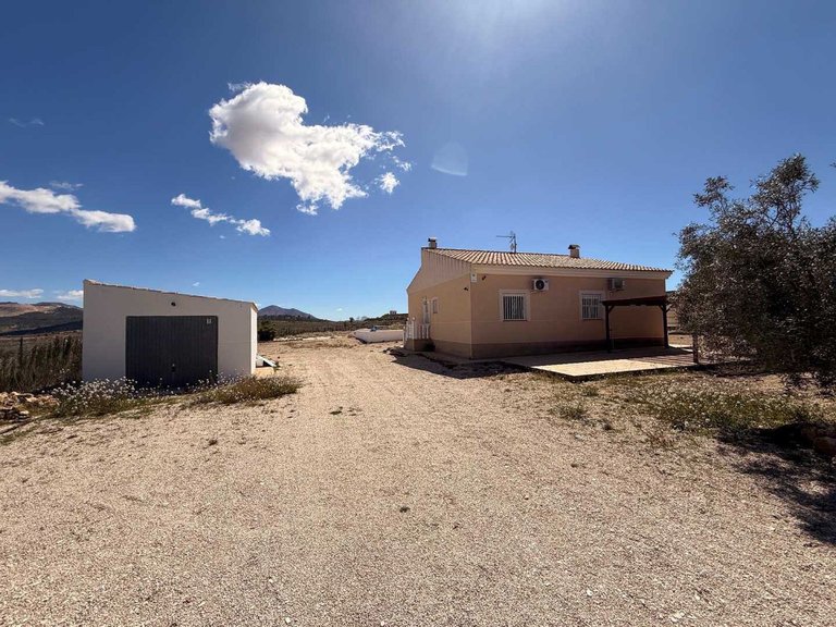 Villa for Sale in Pinoso, Alicante 6