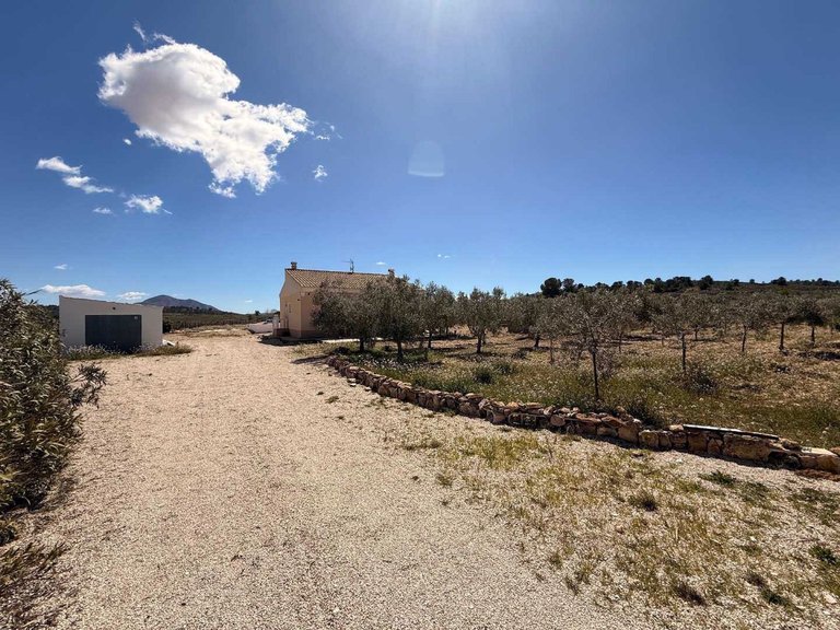 Villa for Sale in Pinoso, Alicante 7