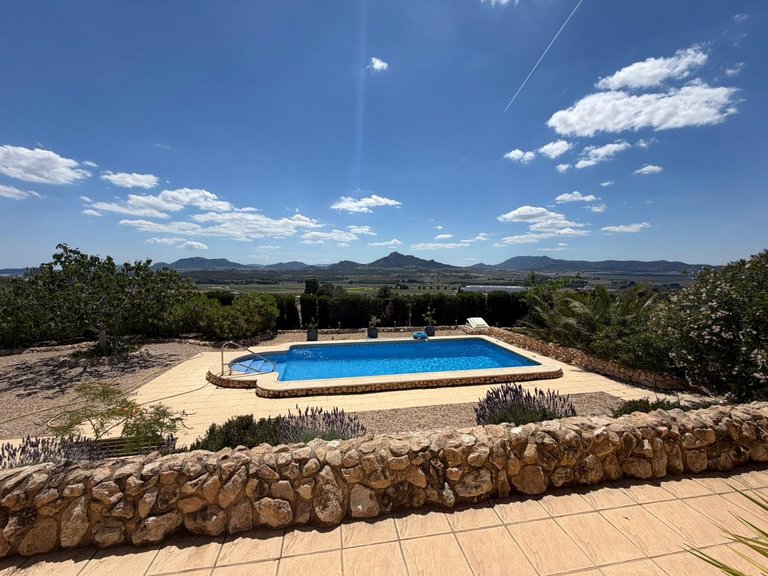 Villa for Sale in Sax, Alicante 10