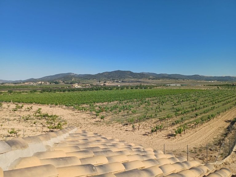 Country House for Sale in Pinoso, Alicante 2