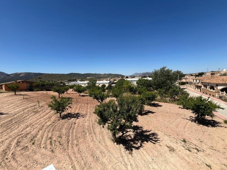Town House for Sale in Alguena, Alicante 5
