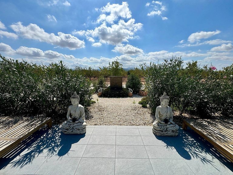 Villa for Sale in Pinoso, Alicante 19