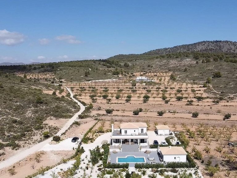 Villa for Sale in Pinoso, Alicante 21