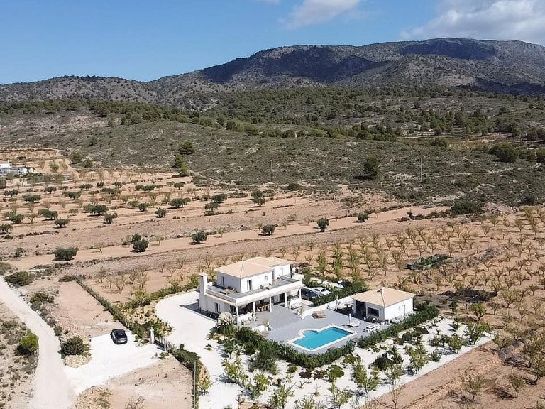 Villa for Sale in Pinoso, Alicante 6