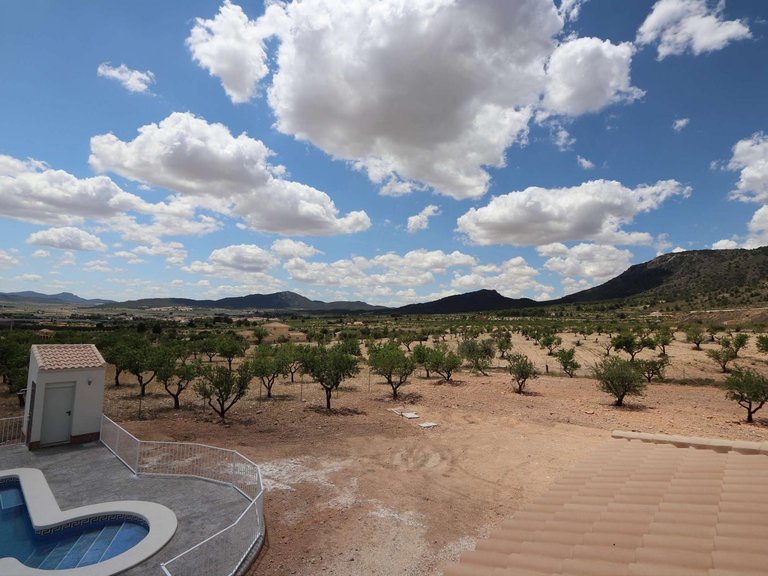 Villa for Sale in Inland Pinoso, Alicante 15