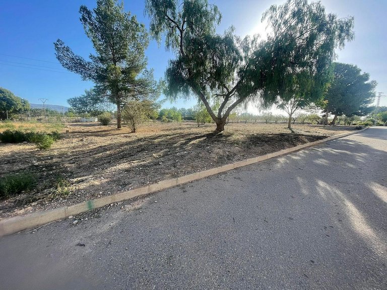 Plot for Sale in Pinoso, Alicante 9