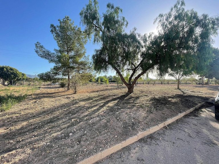 Plot for Sale in Pinoso, Alicante 14
