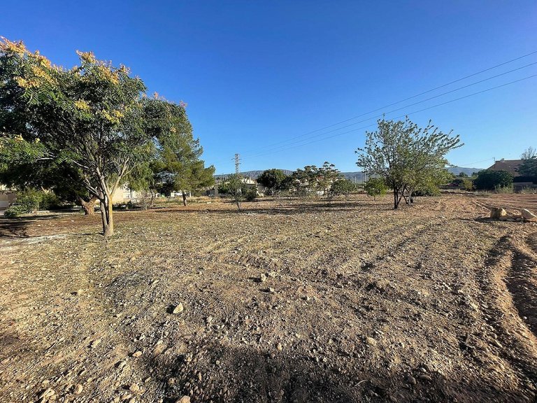 Plot for Sale in Pinoso, Alicante 8