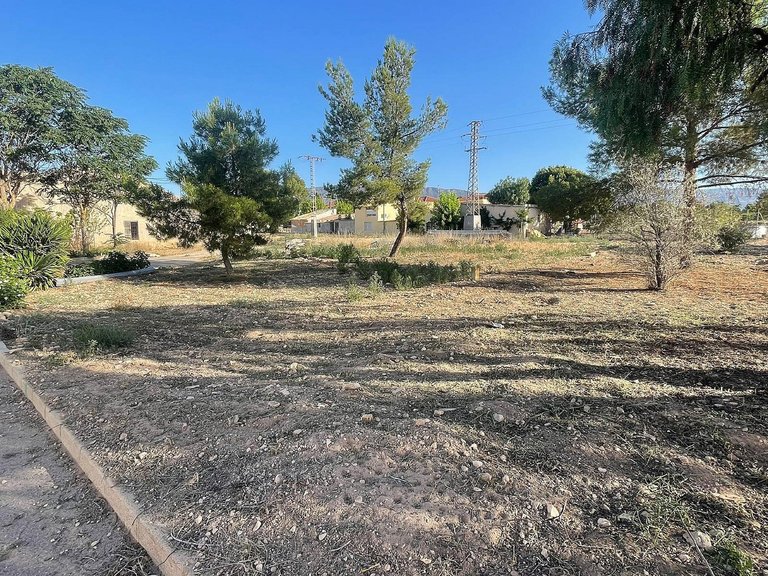 Plot for Sale in Pinoso, Alicante 5