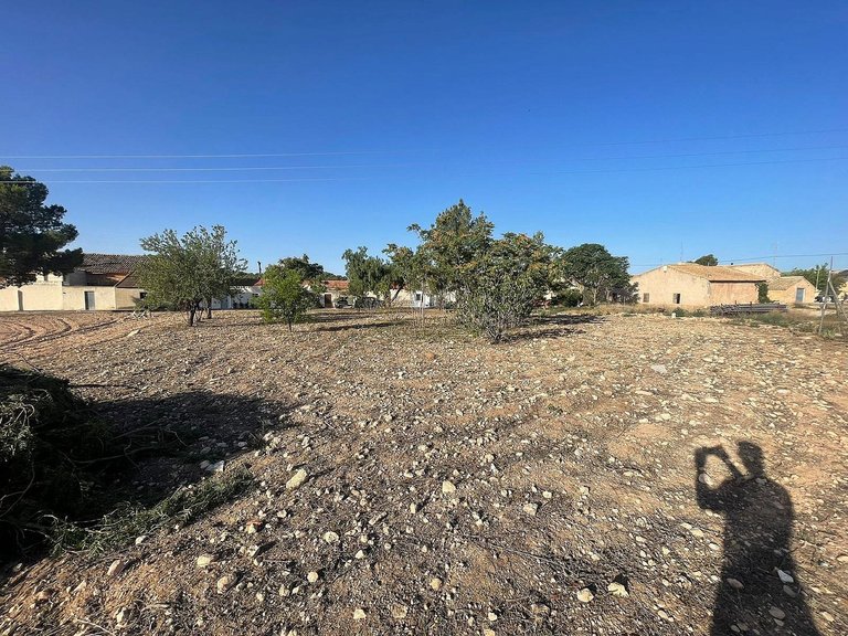 Plot for Sale in Pinoso, Alicante 4