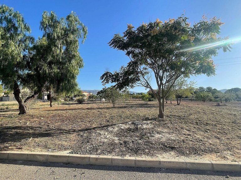 Plot for Sale in Pinoso, Alicante 11