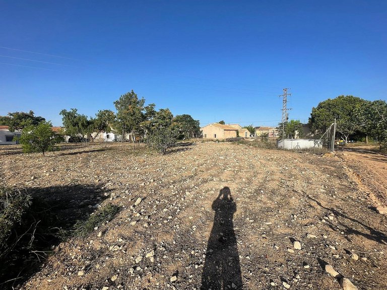 Plot for Sale in Pinoso, Alicante 15