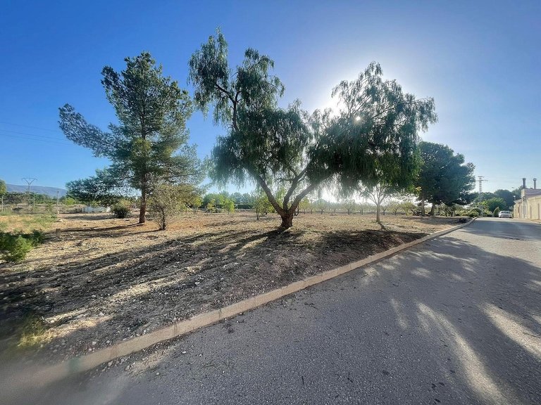 Plot for Sale in Pinoso, Alicante 2