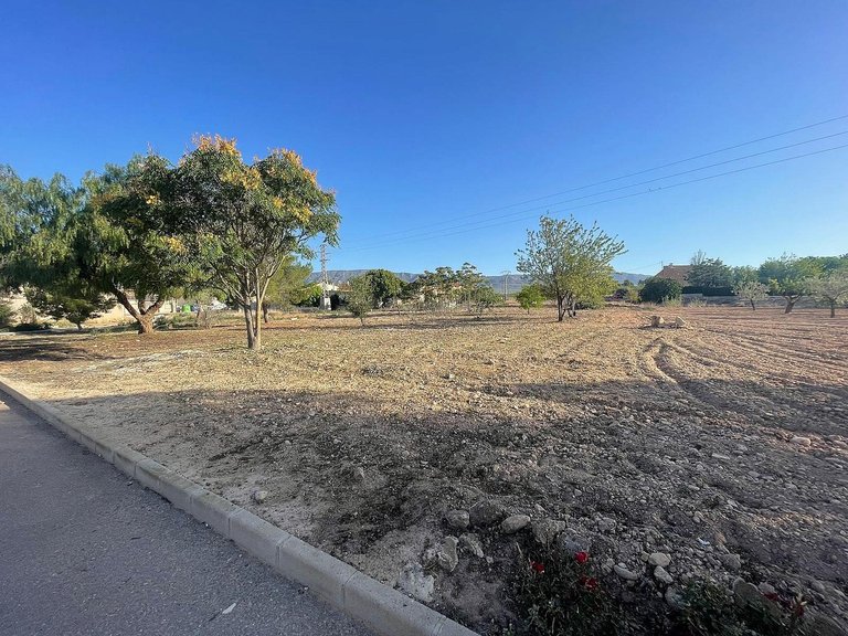 Plot for Sale in Pinoso, Alicante 10
