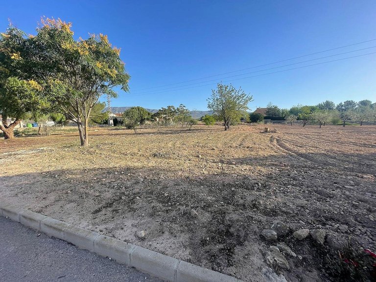 Plot for Sale in Pinoso, Alicante 7