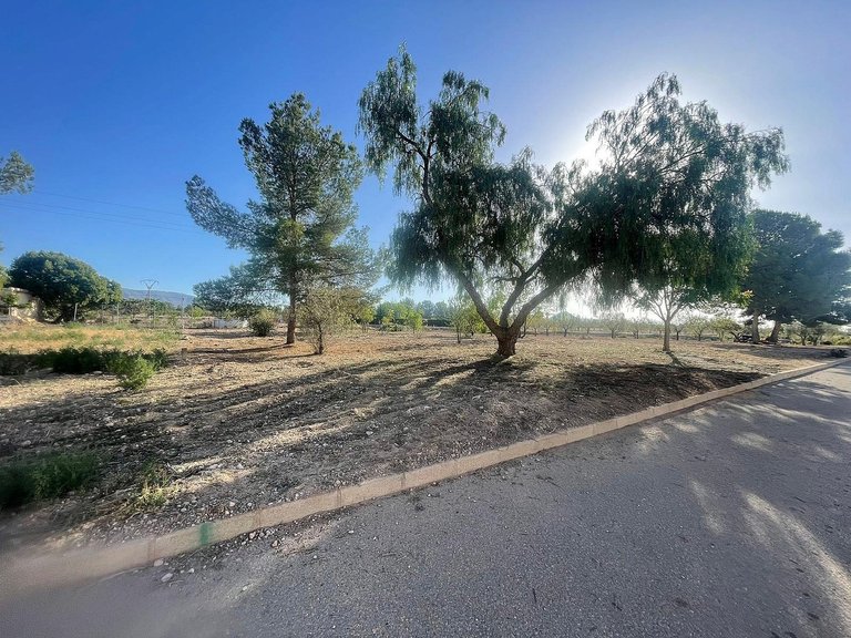 Plot for Sale in Pinoso, Alicante 1