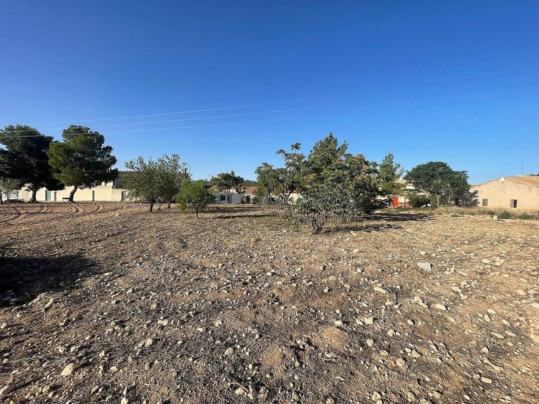 Plot for Sale in Pinoso, Alicante 13