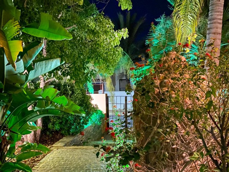 Villa for Sale in Albir, Alicante 35