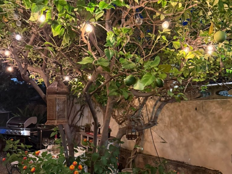 Villa for Sale in Inland Orba, Alicante 34