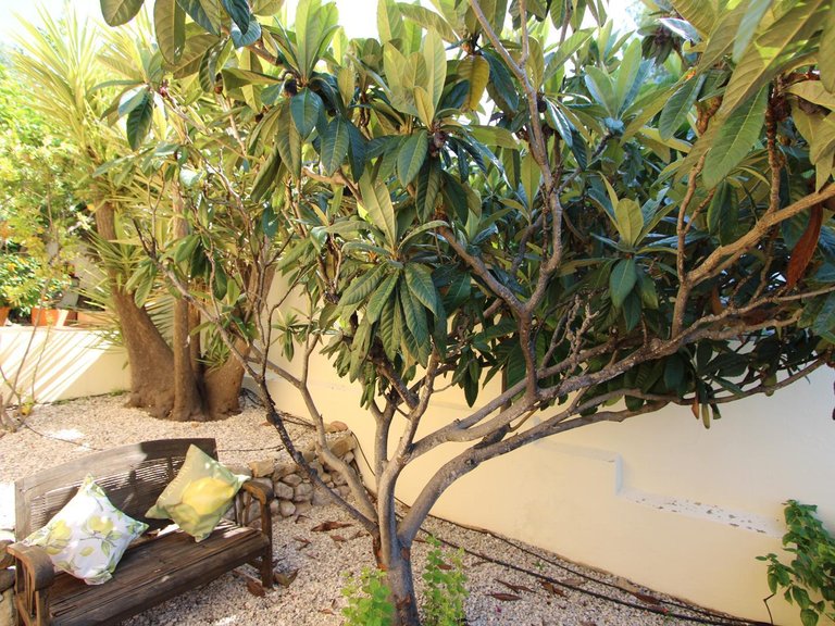 Villa for Sale in Inland Orba, Alicante 36