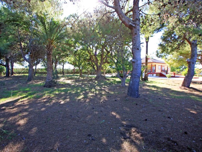 Villa for Sale in Costa Blanca Els Poblets, Alicante 26