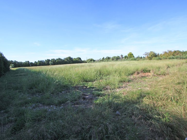 Villa for Sale in Costa Blanca Els Poblets, Alicante 34