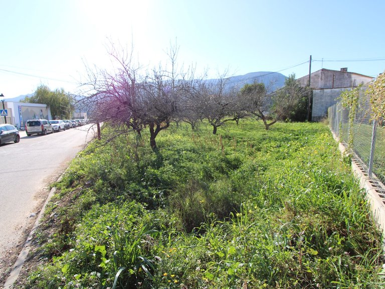 Villa for Sale in Inland Murla, Alicante 13