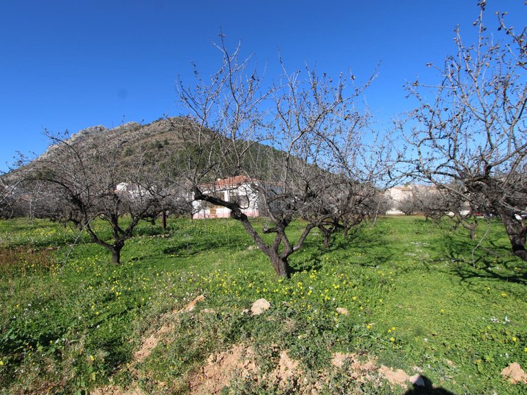 Villa for Sale in Inland Murla, Alicante 15