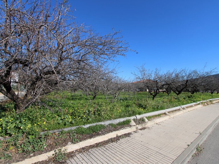 Villa for Sale in Inland Murla, Alicante 17