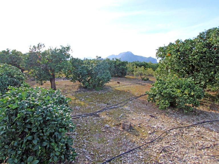 Villa for Sale in Inland Ondara, Alicante 17