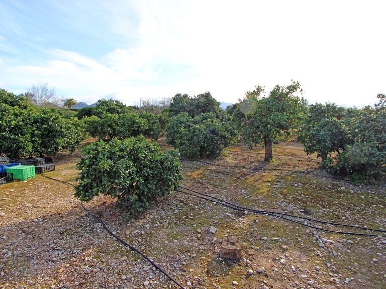 Villa for Sale in Inland Ondara, Alicante 18