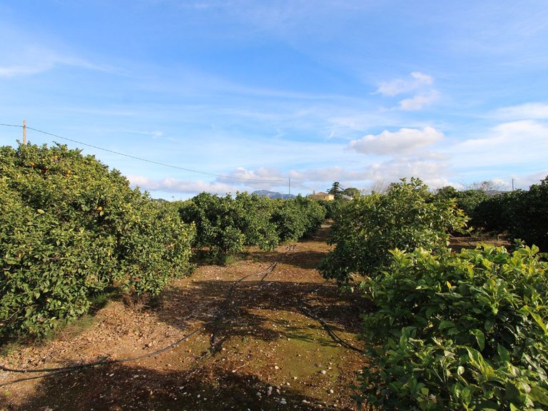 Villa for Sale in Inland Ondara, Alicante 19