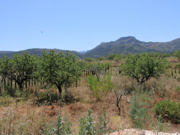 Villa for Sale in Inland Alcalalí, Alicante 37