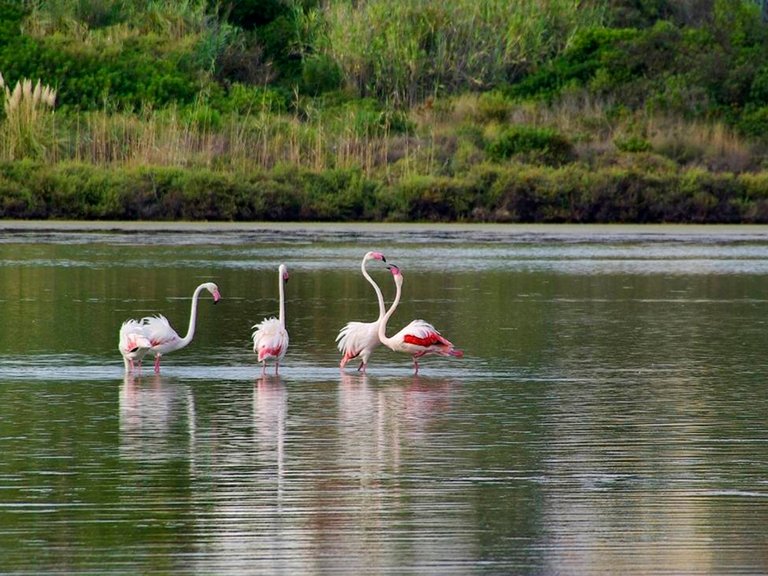 Villa for Sale in Calpe, Alicante 7